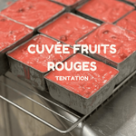 FRUITS ROUGES